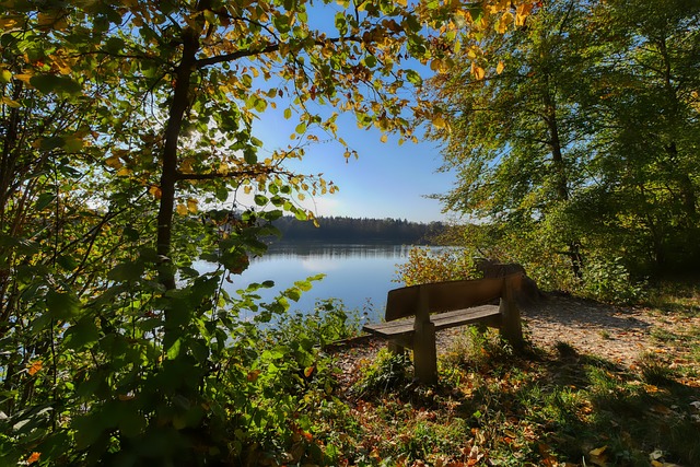 冠军履历标 冠军履历标