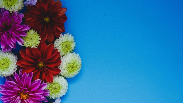 奋力拼搏 奋力拼搏