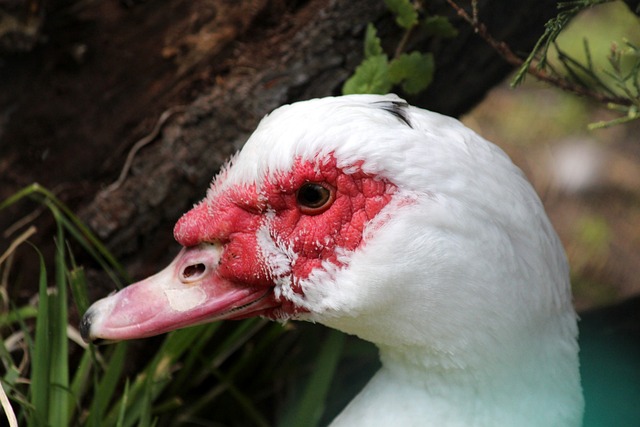 造成了不少 造成了不少