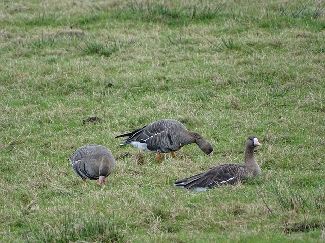 在于塞尔吉 在于塞尔吉
