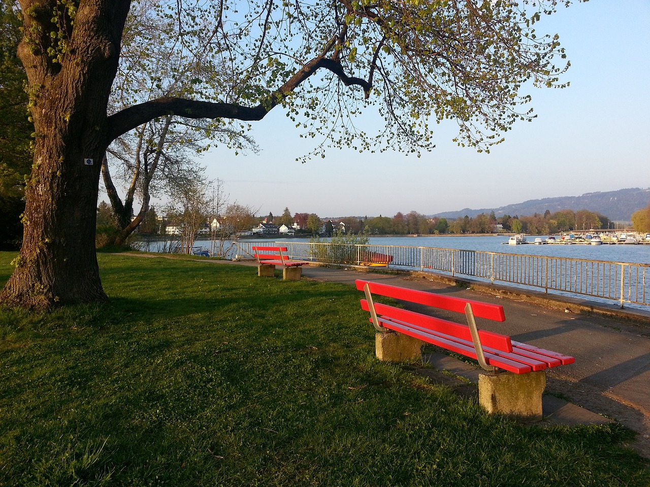 可能导致排 可能导致排