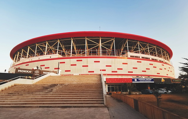 武藤嘉紀的 武藤嘉紀的