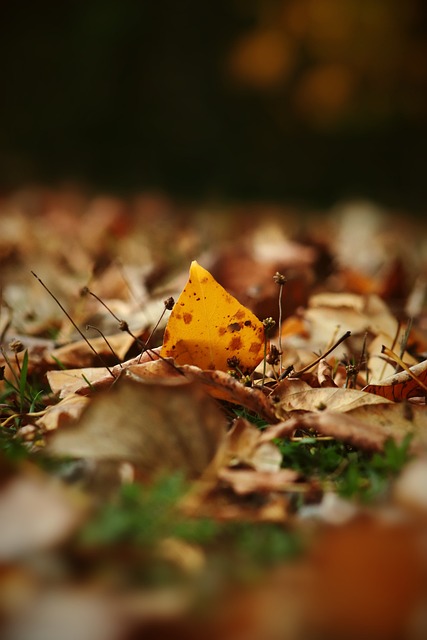 赛程不公的 赛程不公的